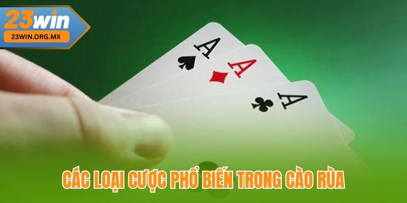 Các Loại Cược Phổ Biến Trong Cào Rùa