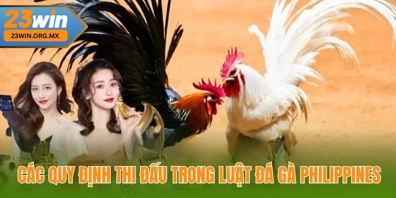 Các quy định thi đấu trong Luật đá gà Philippines