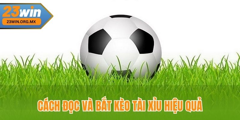 Cách đọc và bắt kèo tài xỉu hiệu quả
