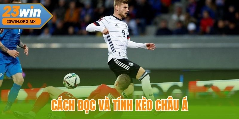 Cách đọc và tính kèo châu Á