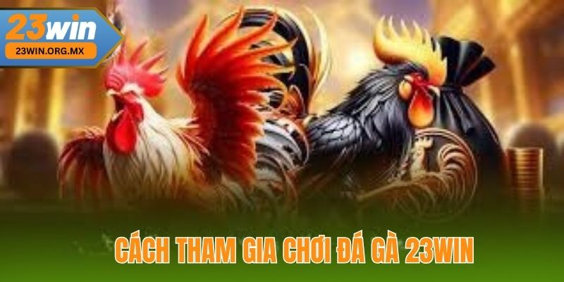Cách Tham Gia Chơi Đá Gà 23WIN