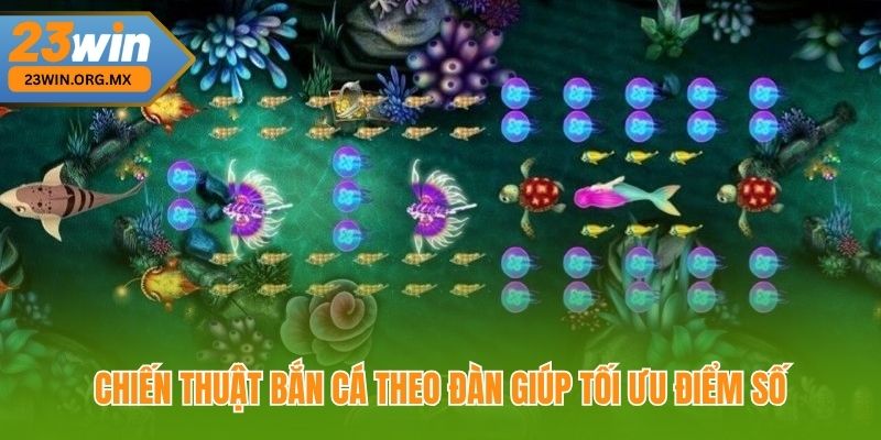 Chiến Thuật Bắn Cá Theo Đàn Giúp Tối Ưu Điểm Số