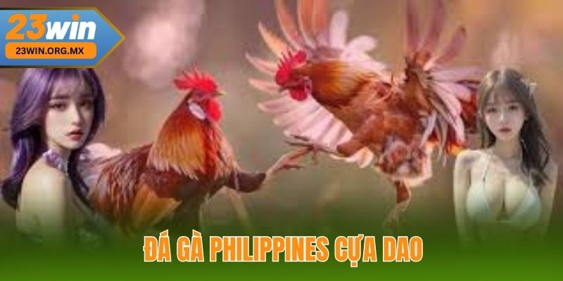 Đá gà Philippines cựa dao tại 23WIN
