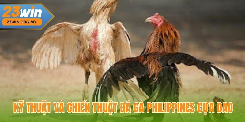 Kỹ thuật và chiến thuật đá gà Philippines cựa dao