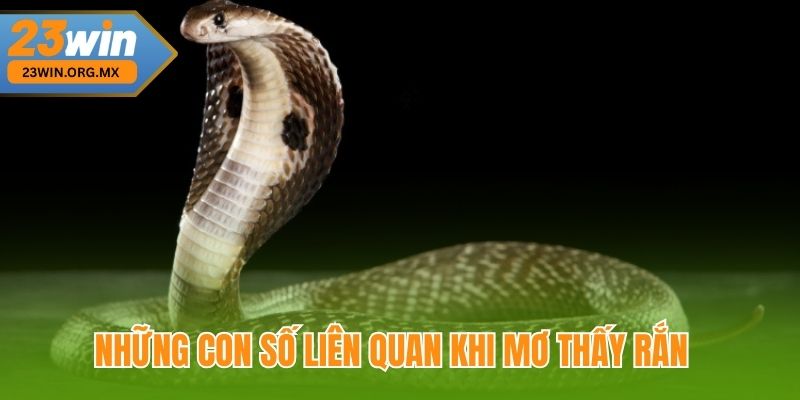 Những Con Số Liên Quan Khi Mơ Thấy Rắn Tại 23WIN
