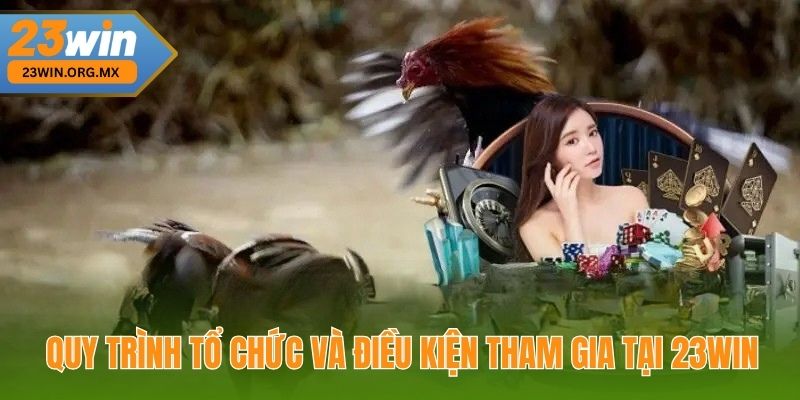 Quy trình tổ chức và điều kiện tham gia tại 23Win
