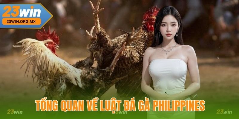 Tổng quan về Luật đá gà Philippines tại 23Win