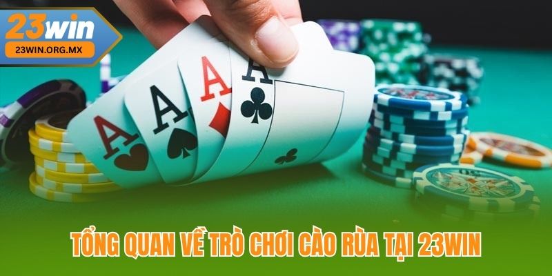 Tổng Quan Về Trò Chơi Cào Rùa Tại 23Win