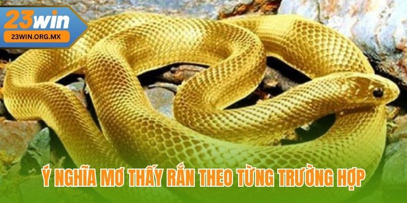 Ý Nghĩa Mơ Thấy Rắn Theo Từng Trường Hợp